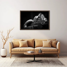 Serene Black and White Fox Resting Animal Poster PosterGoat