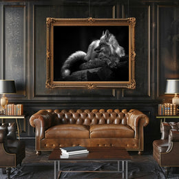 Serene Black and White Fox Resting Animal Poster PosterGoat