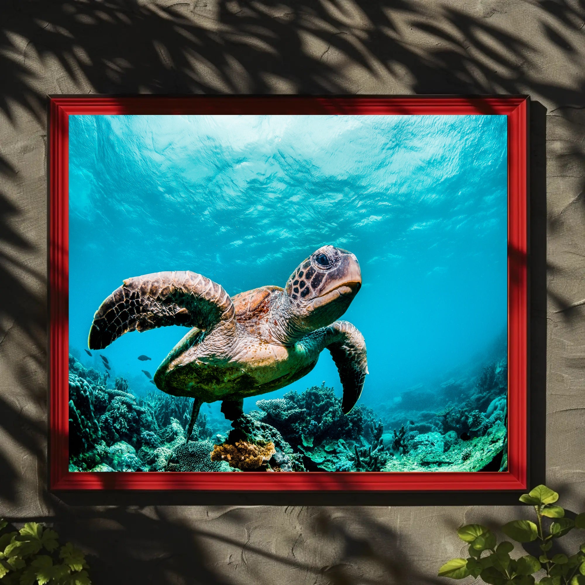 Serene Sea Turtle Swimming Over Coral Animal Poster PosterGoat