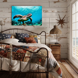 Serene Sea Turtle Swimming Over Coral Animal Poster PosterGoat