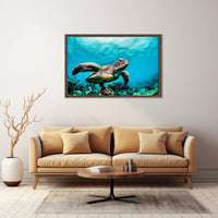 Serene Sea Turtle Swimming Over Coral Animal Poster PosterGoat