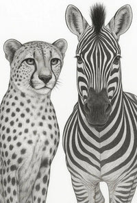 Serene Wildlife Contrast: Cheetah and Zebra Animal Poster PosterGoat