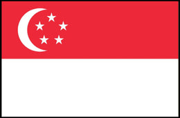 Singaporean Flag: Bold Patriotic Country Flag Poster PosterGoat