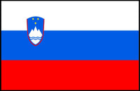 Slovenian Flag and Symbols Country Flag Poster PosterGoat