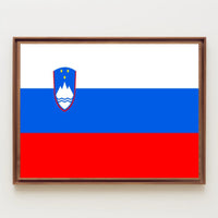 Slovenian Flag and Symbols Country Flag Poster PosterGoat
