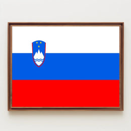 Slovenian Flag and Symbols Country Flag Poster PosterGoat