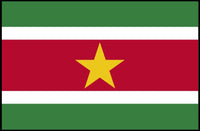 Suriname National Flag Patriotic Art Country Flag Poster PosterGoat