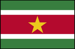 Suriname National Flag Patriotic Art Country Flag Poster PosterGoat