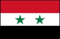 Syria National Flag Pride Country Flag Poster PosterGoat