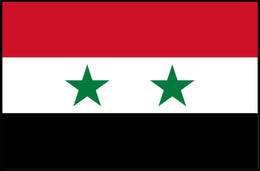 Syria National Flag Pride Country Flag Poster PosterGoat