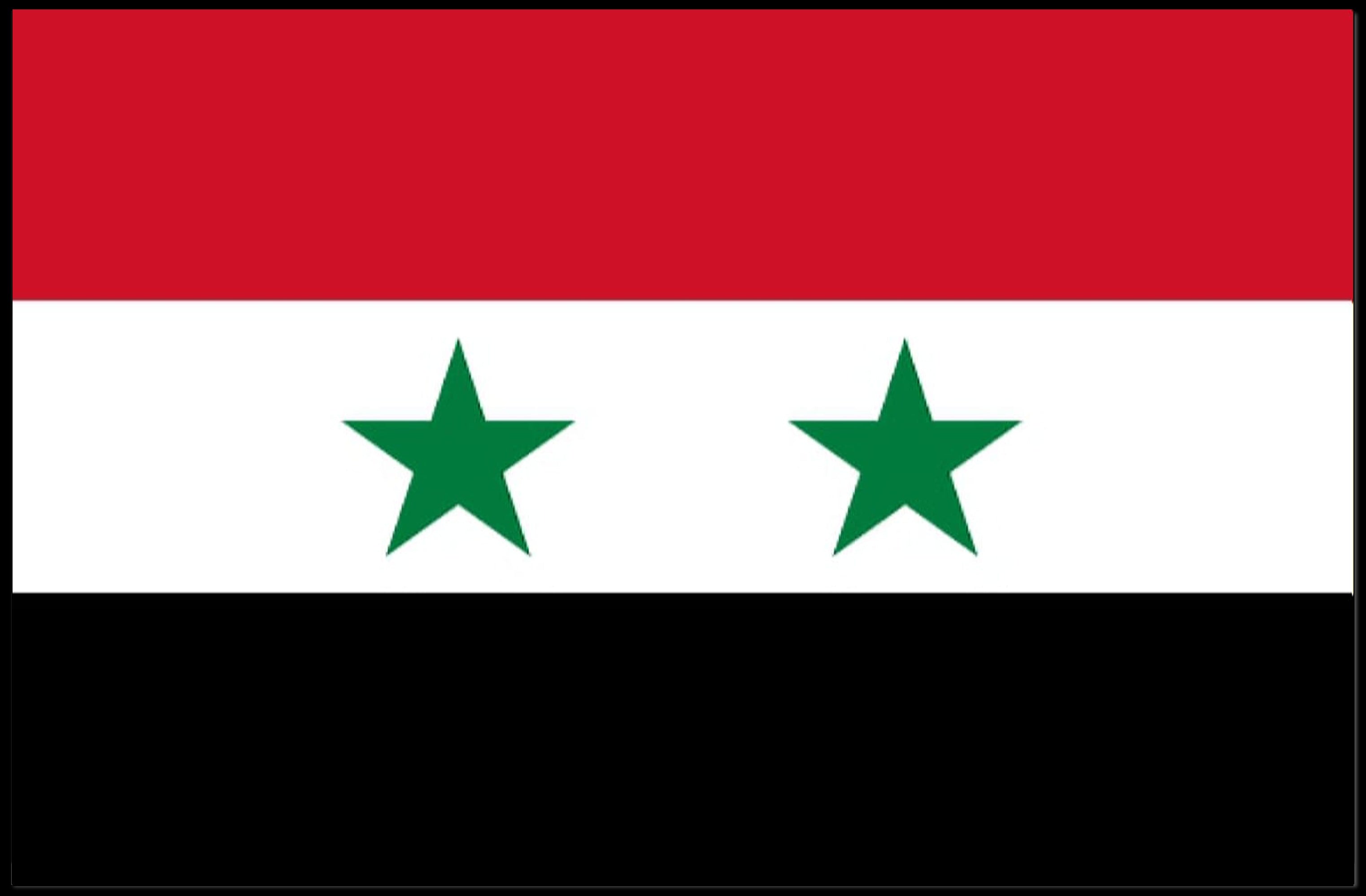 Syria National Flag Pride Country Flag Poster PosterGoat