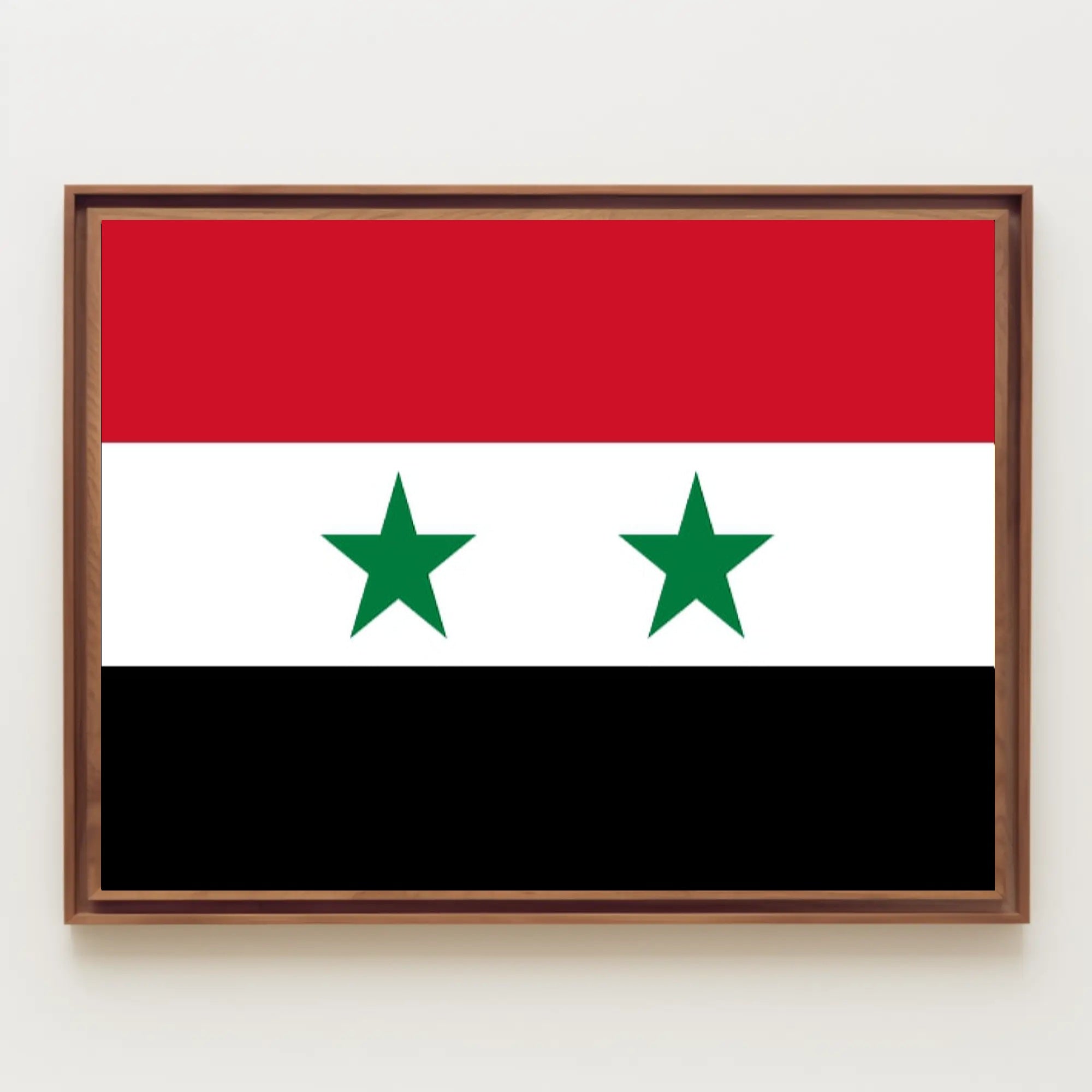 Syria National Flag Pride Country Flag Poster PosterGoat