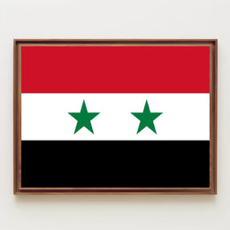 Syria National Flag Pride Country Flag Poster PosterGoat