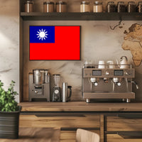 Taiwanese Pride Patriotic Country Flag Poster PosterGoat