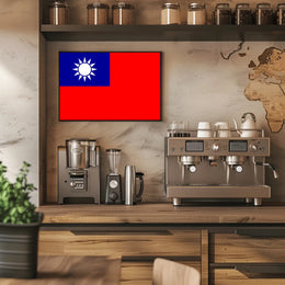 Taiwanese Pride Patriotic Country Flag Poster PosterGoat