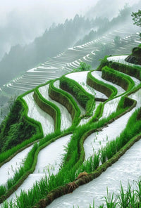 Terraced Rice Fields Landscape Art Print - Cultural Heritage Poster PosterGoat