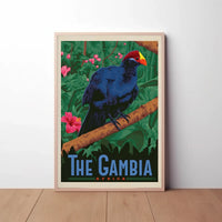 The Gambia Exotic Bird Travel Poster PosterGoat