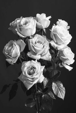 Timeless Black and White Rose Bouquet, Artistic Poster PosterGoat