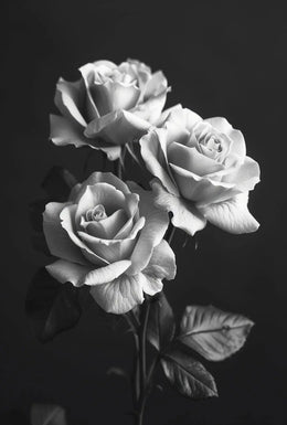 Timeless Elegance of Roses Black and White Artistic Poster PosterGoat