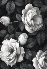 Timeless Elegance: Monochrome Rose Cluster Art Poster PosterGoat