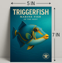 Triggerfish Marine Fish of the Reef Poster PosterGoat