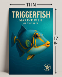 Triggerfish Marine Fish of the Reef Poster PosterGoat