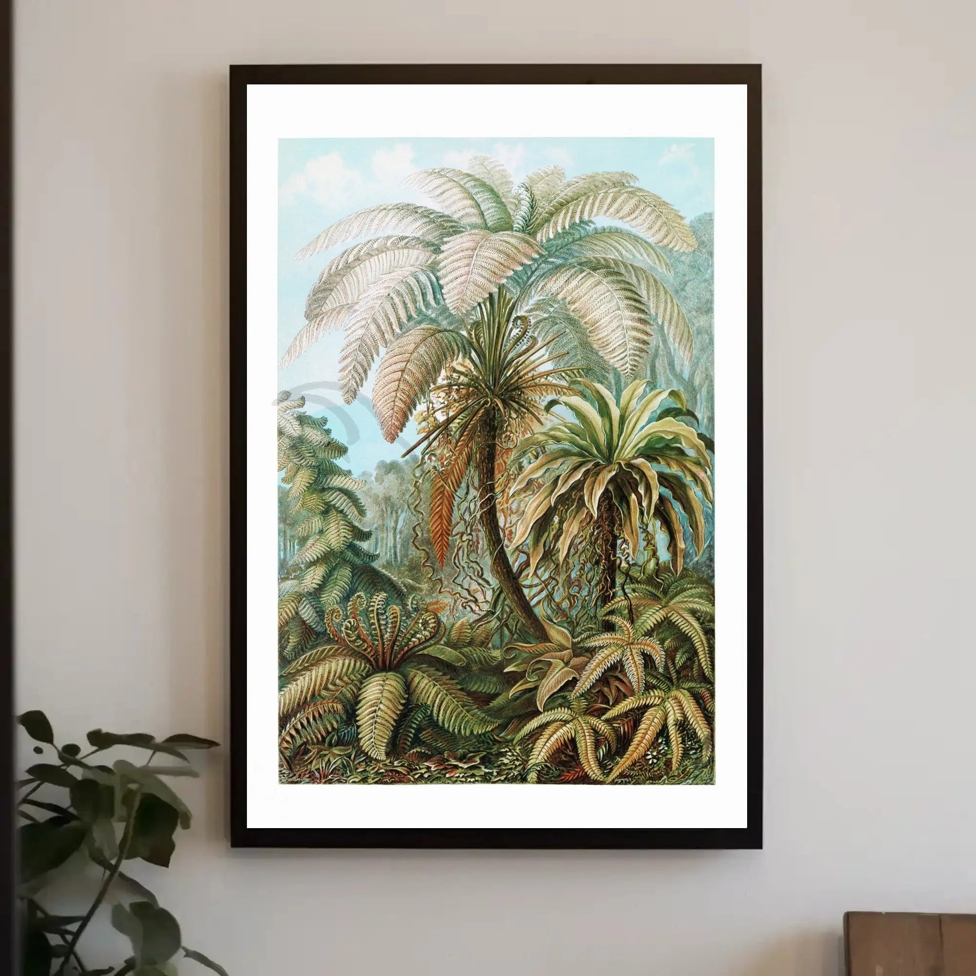 Tropical Jungle Ferns in Botanical Art National Park Poster PosterGoat