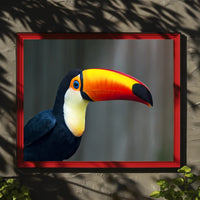 Tropical Toucan in Lush Jungle Setting: Animal Poster PosterGoat