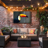 Tropical Toucan in Lush Jungle Setting: Animal Poster PosterGoat
