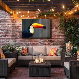 Tropical Toucan in Lush Jungle Setting: Animal Poster PosterGoat