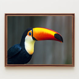 Tropical Toucan in Lush Jungle Setting: Animal Poster PosterGoat