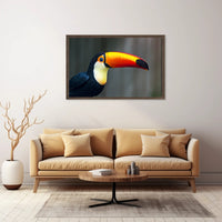Tropical Toucan in Lush Jungle Setting: Animal Poster PosterGoat