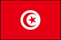 Tunisia National Flag Art Print for Country Flag Poster PosterGoat