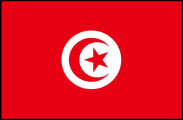 Tunisia National Flag Art Print for Country Flag Poster PosterGoat