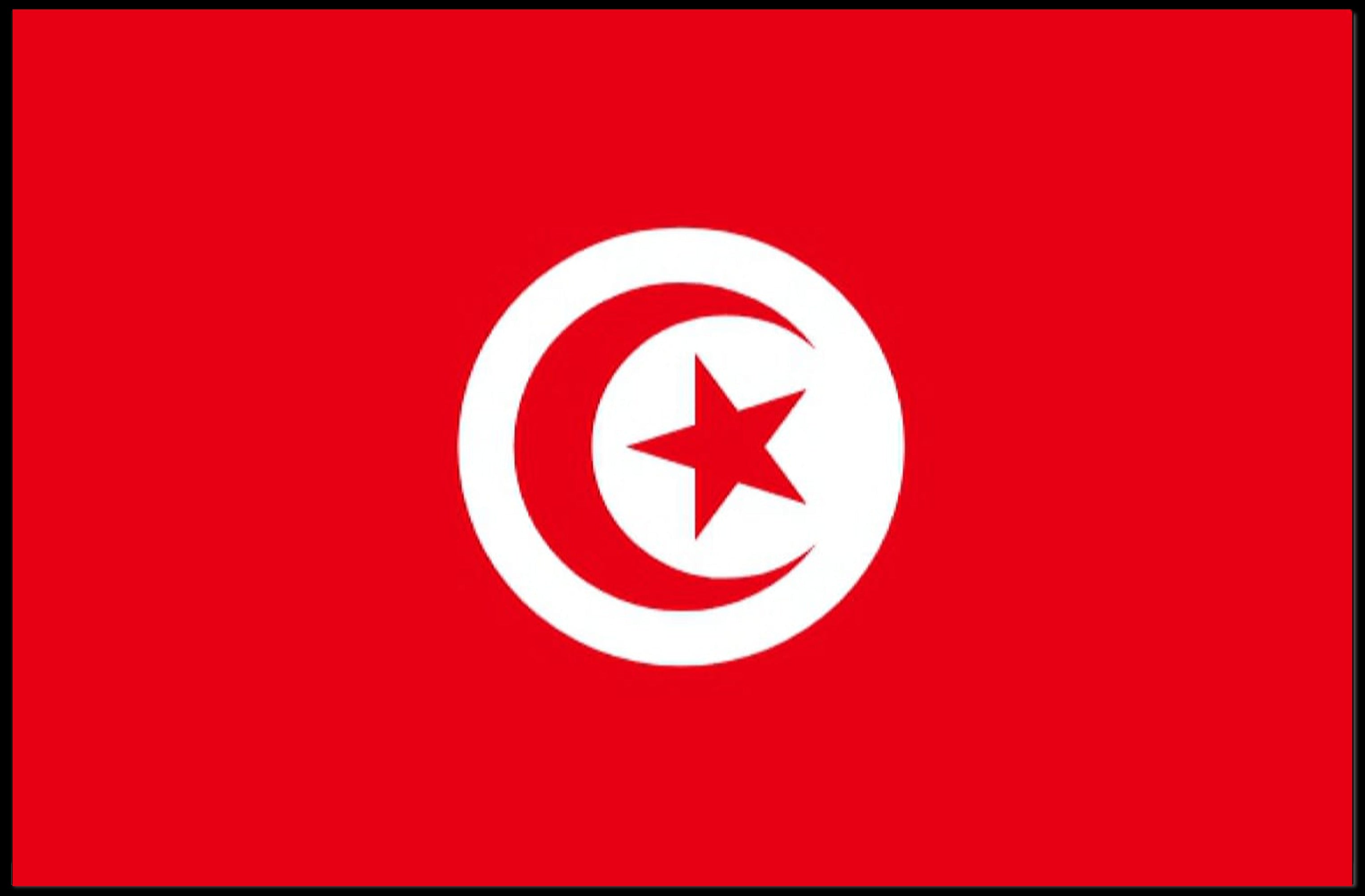 Tunisia National Flag Art Print for Country Flag Poster PosterGoat