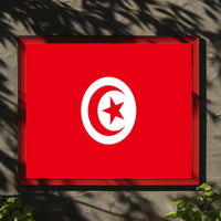 Tunisia National Flag Art Print for Country Flag Poster PosterGoat