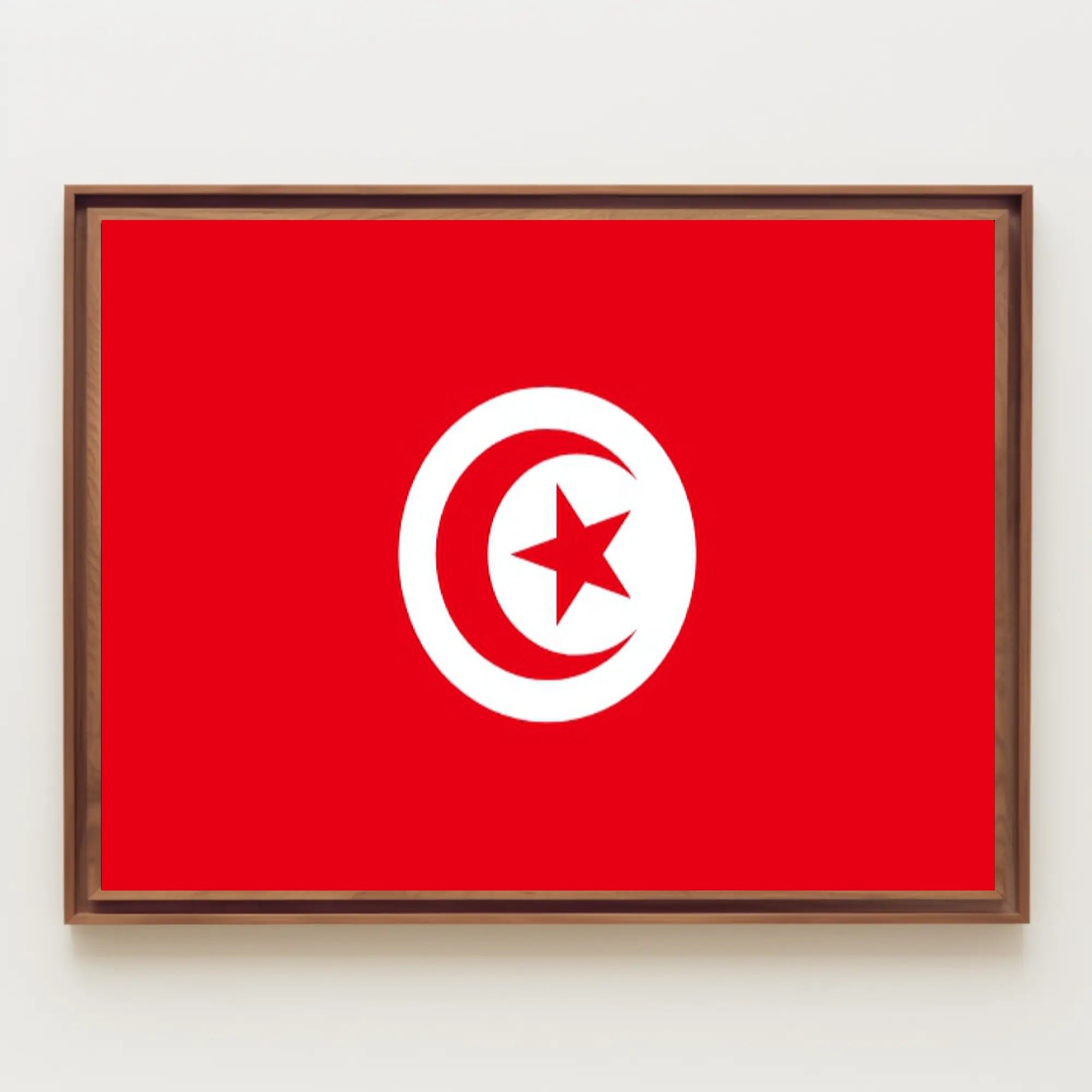 Tunisia National Flag Art Print for Country Flag Poster PosterGoat