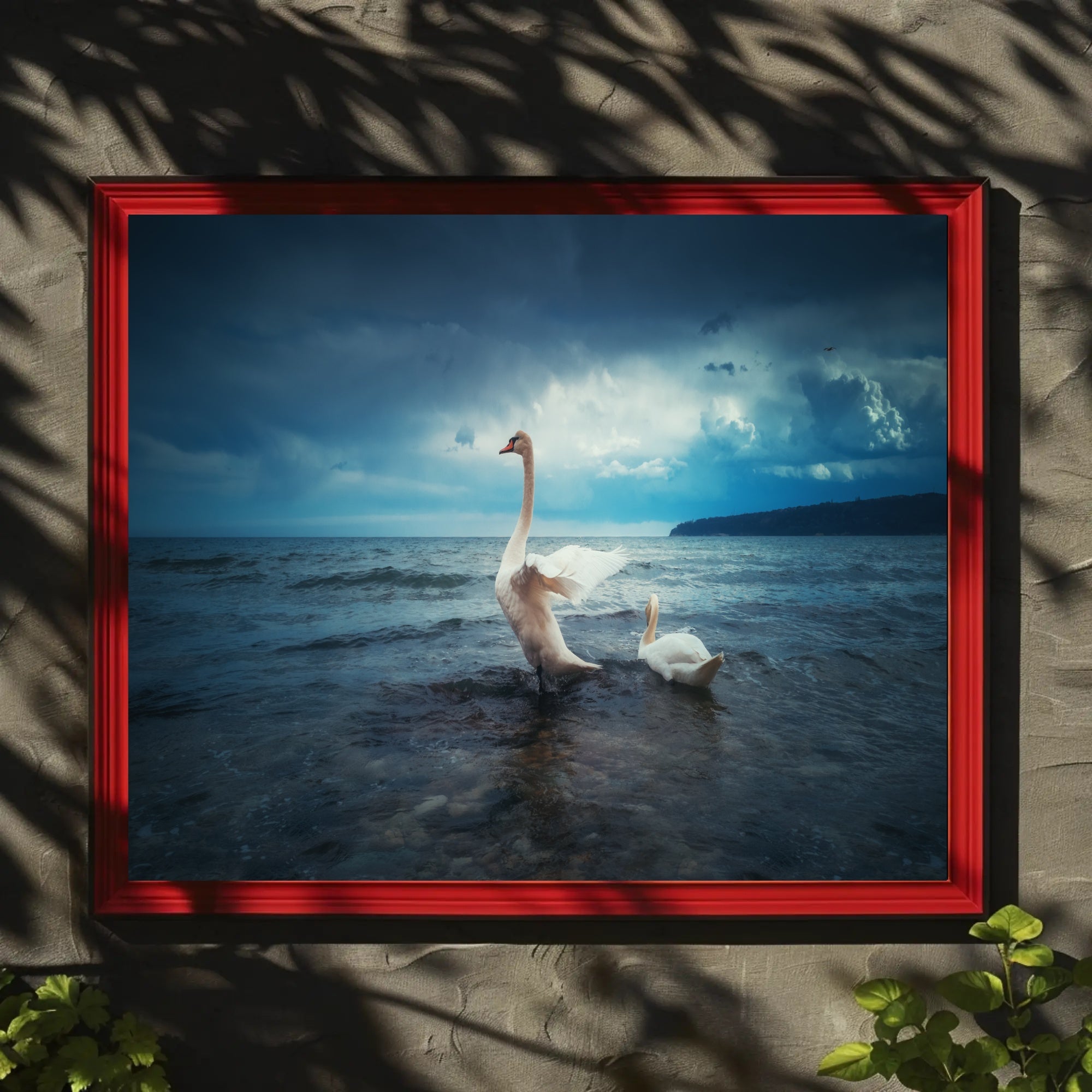 Two Swans in Serene Nature Setting Animal Poster PosterGoat