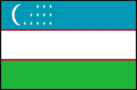 Uzbekistan National Pride Modern Art Country Flag Poster PosterGoat