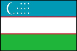 Uzbekistan National Pride Modern Art Country Flag Poster PosterGoat
