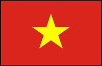 Vietnam Flag with Bold Patriotic Symbolism Country Flag Poster PosterGoat