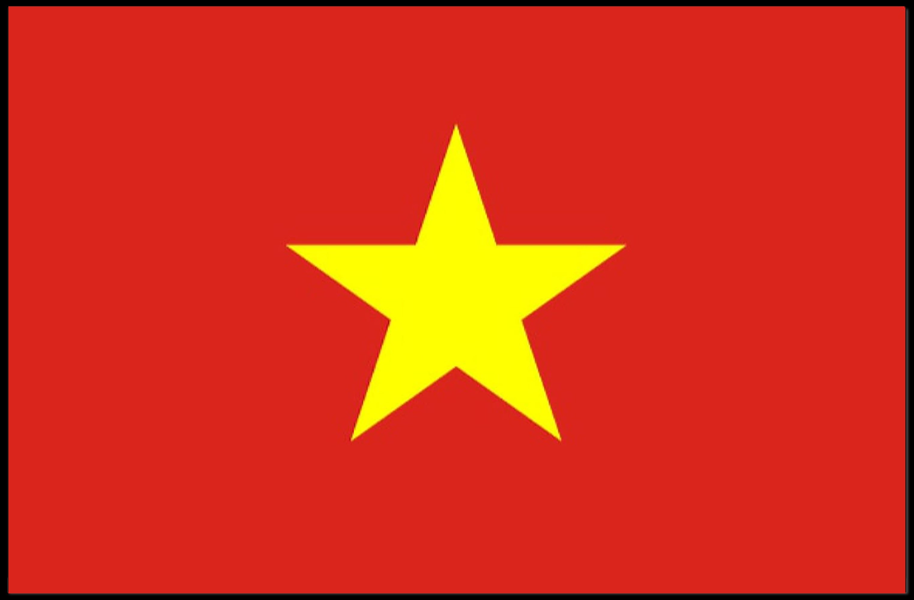 Vietnam Flag with Bold Patriotic Symbolism Country Flag Poster PosterGoat