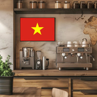 Vietnam Flag with Bold Patriotic Symbolism Country Flag Poster PosterGoat