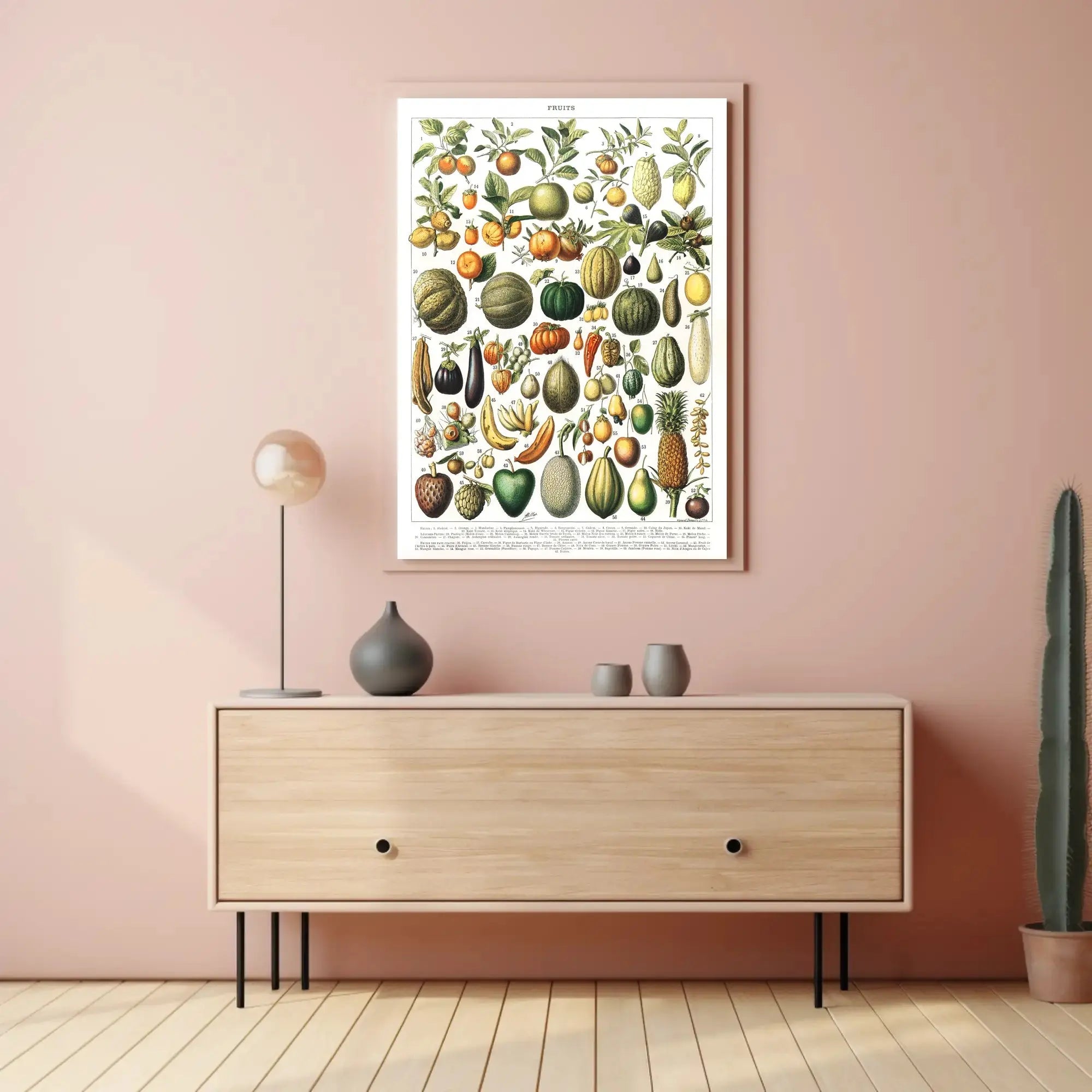 Vintage Botanical Fruits Illustration Historical or Presidential Poster PosterGoat