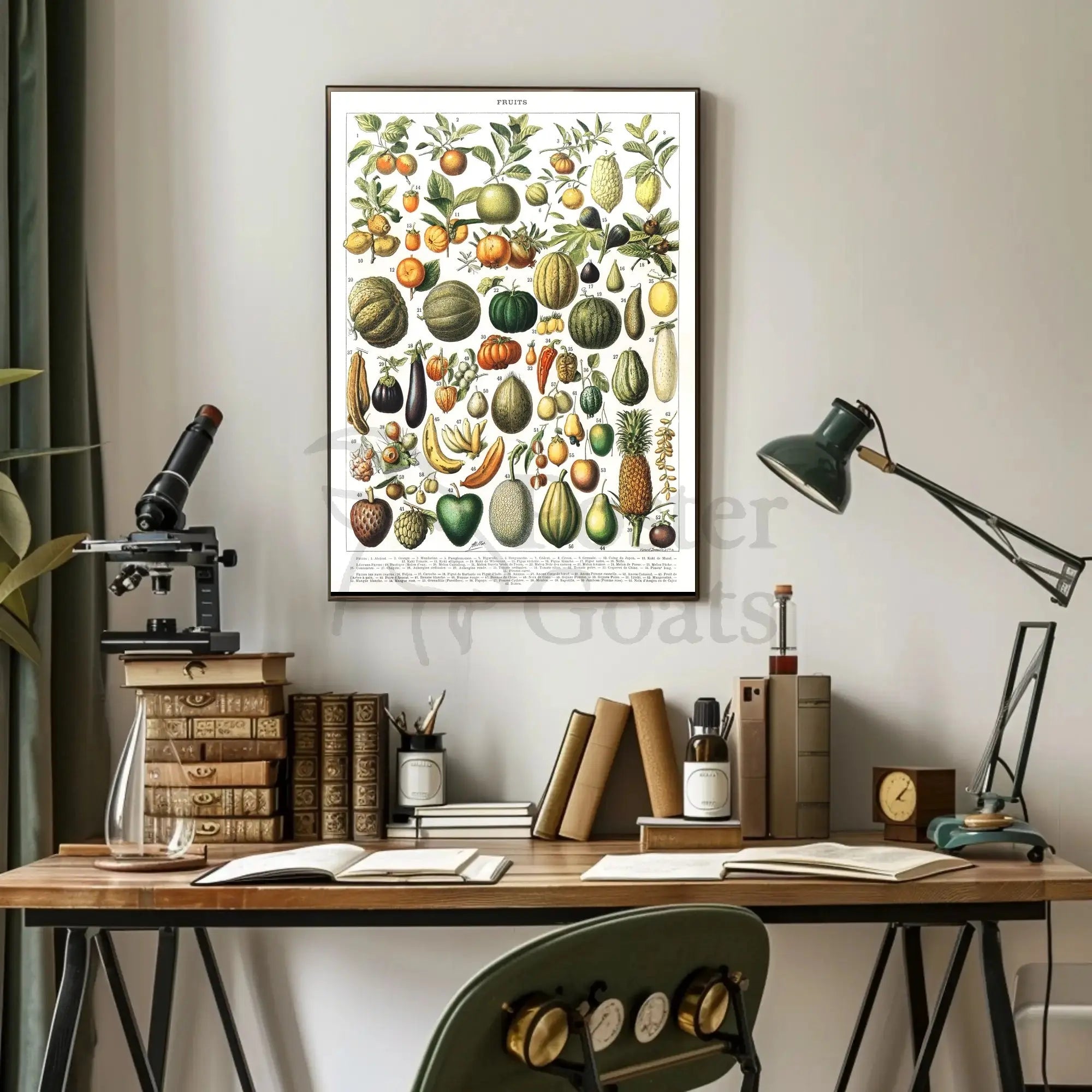 Vintage Botanical Fruits Illustration Historical or Presidential Poster PosterGoat