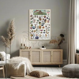 Vintage Marine Life Educational Chart: Animal Poster PosterGoat