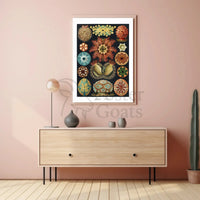 Vintage Scientific Illustration of Sea Squirts Animal Poster PosterGoat