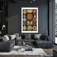 Vintage Scientific Illustration of Sea Squirts Animal Poster PosterGoat