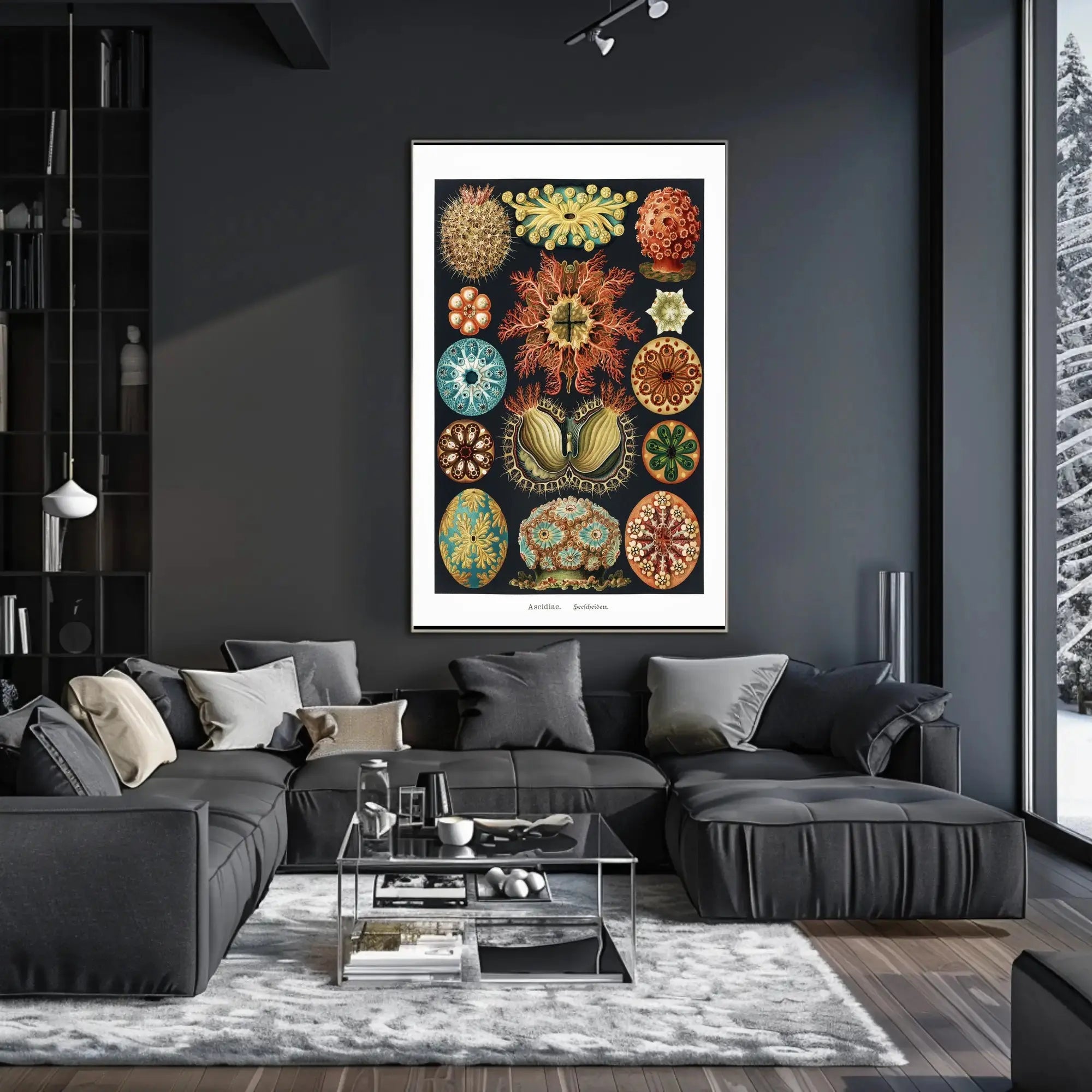 Vintage Scientific Illustration of Sea Squirts Animal Poster PosterGoat