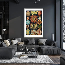 Vintage Scientific Illustration of Sea Squirts Animal Poster PosterGoat